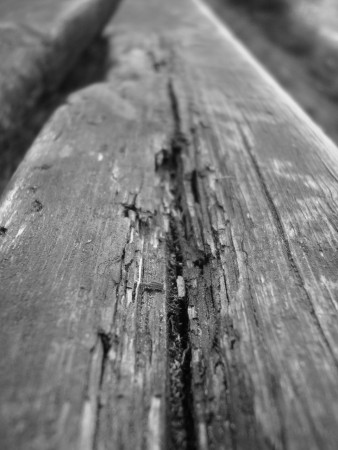INDIform